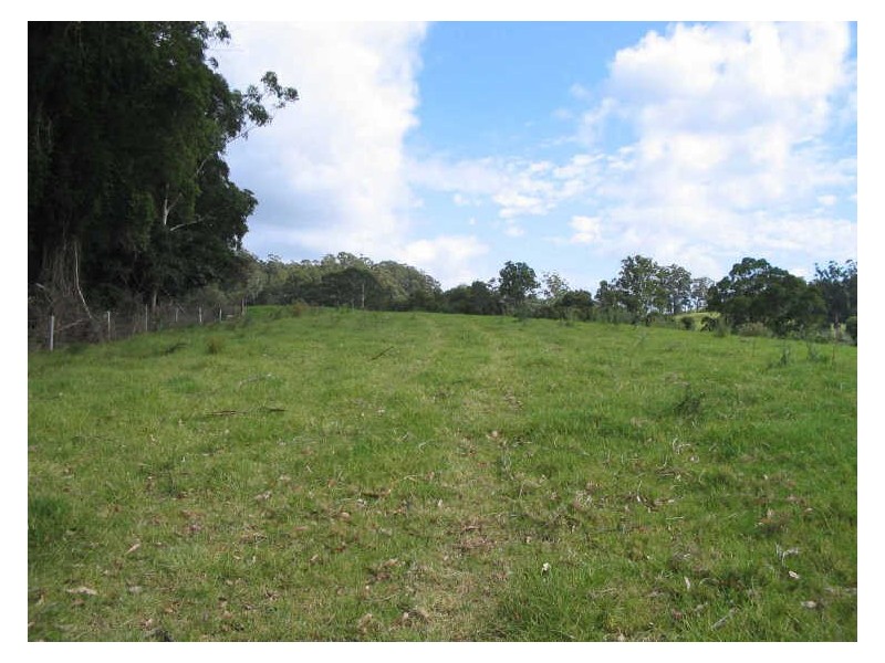 Hannam Vale NSW 2443