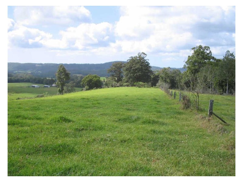Hannam Vale NSW 2443