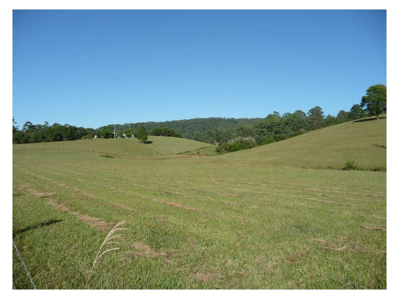 Hannam Vale NSW 2443