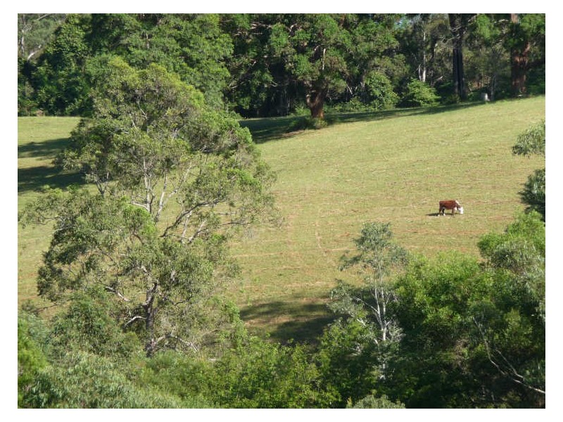 Hannam Vale NSW 2443