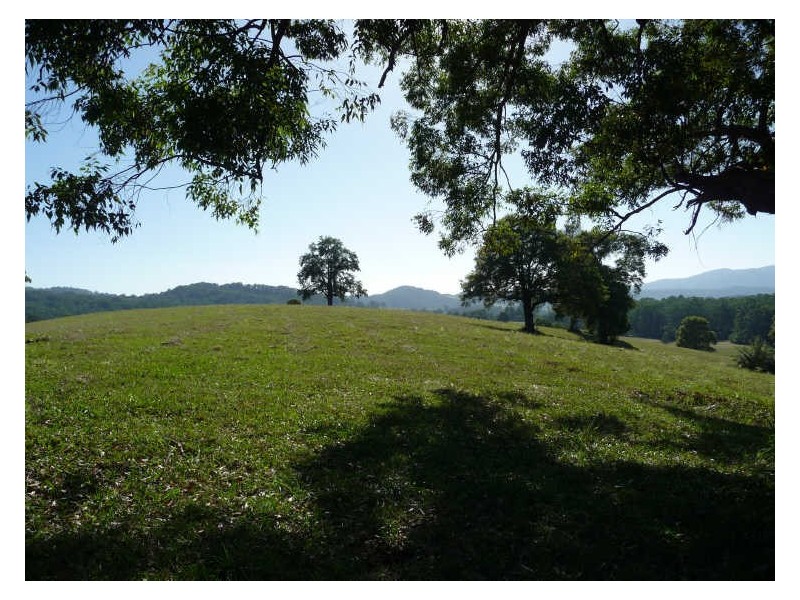 Hannam Vale NSW 2443