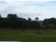 Wingham NSW 2429