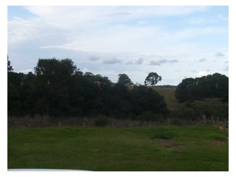 Wingham NSW 2429