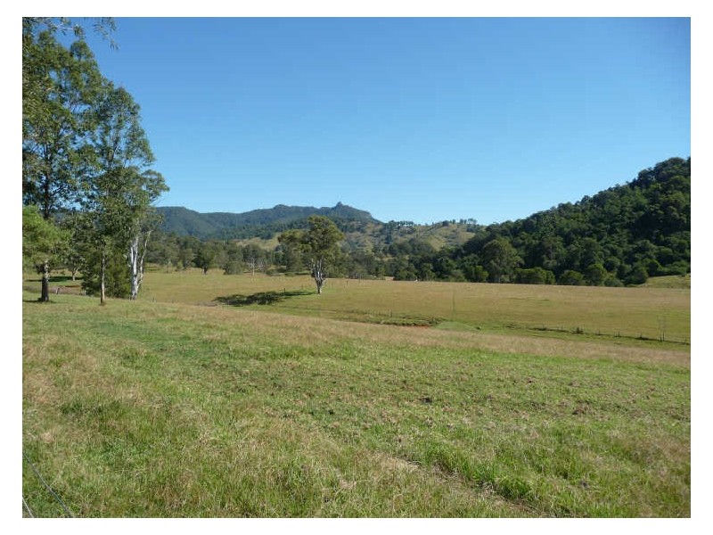 Wherrol Flat NSW 2429