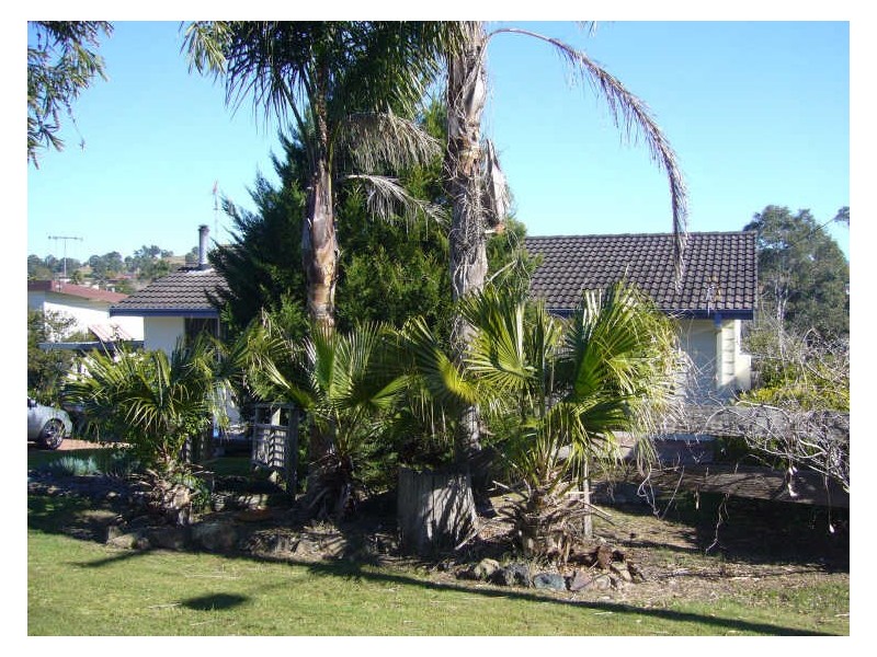 66 Lambert Street, Wingham NSW 2429