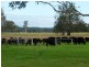 Lansdowne NSW 2430