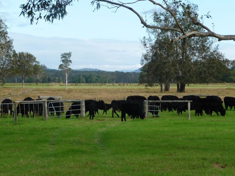 Lansdowne NSW 2430