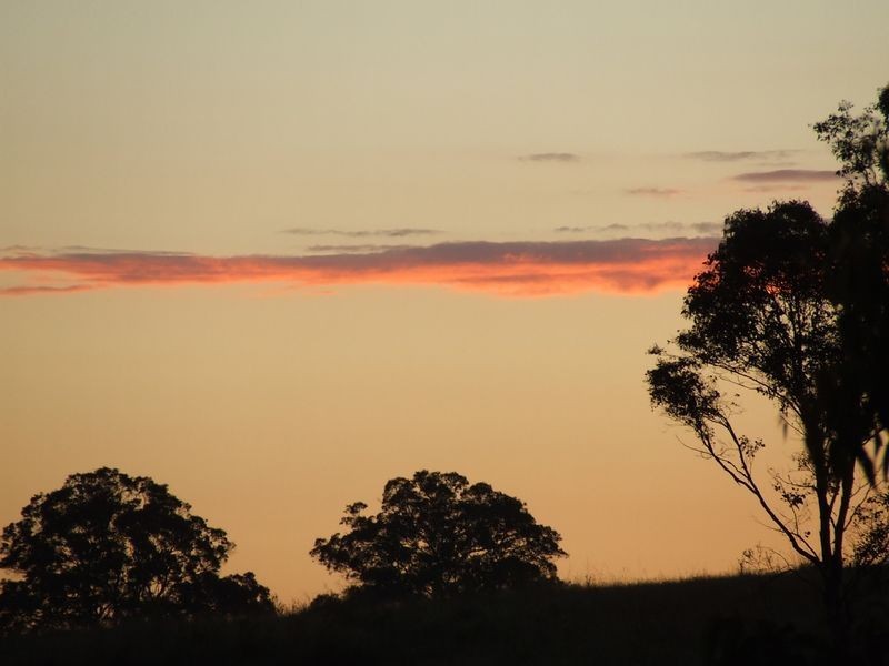 Bobin NSW 2429