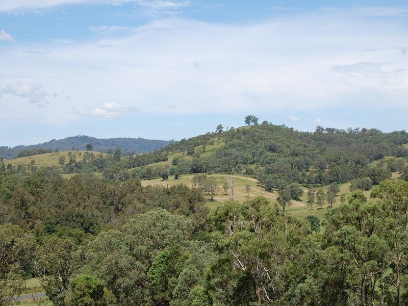 Wherrol Flat NSW 2429