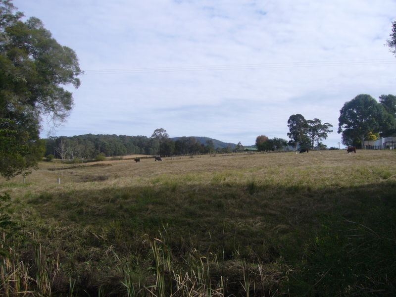 Killabakh NSW 2429