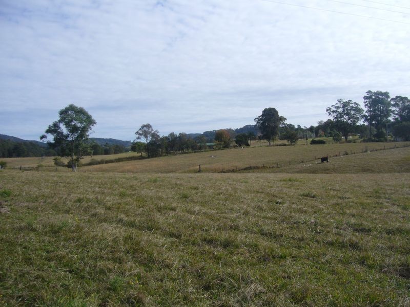 Killabakh NSW 2429