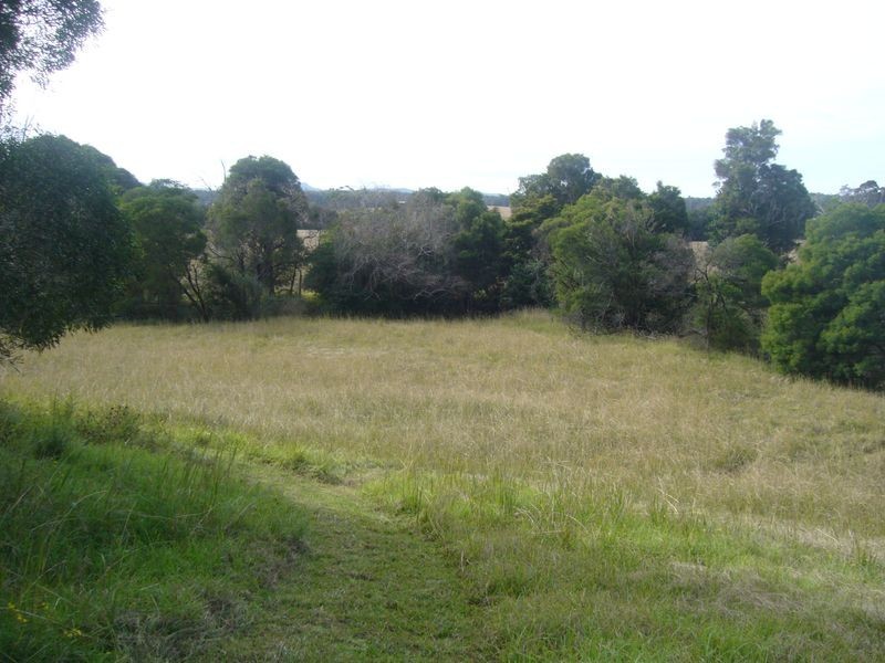 Killabakh NSW 2429