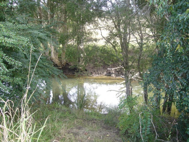 Killabakh NSW 2429