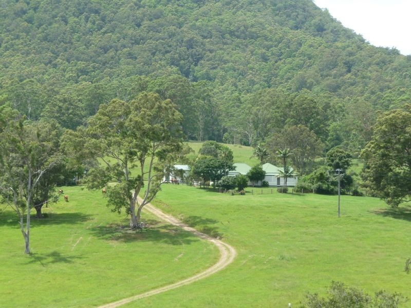 Killabakh NSW 2429