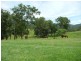 Killabakh NSW 2429