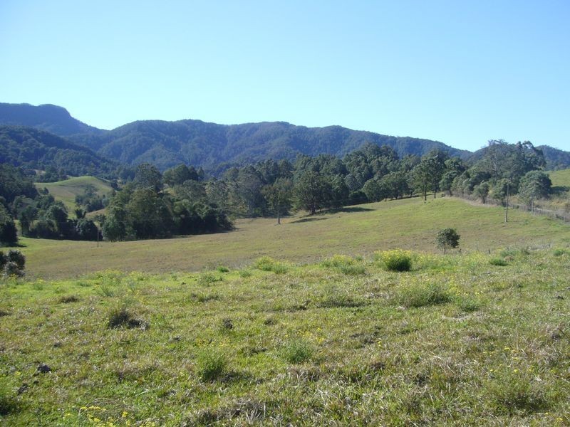 Killabakh NSW 2429