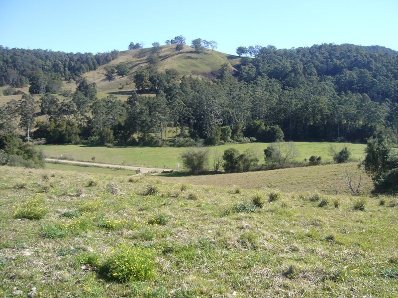 Killabakh NSW 2429