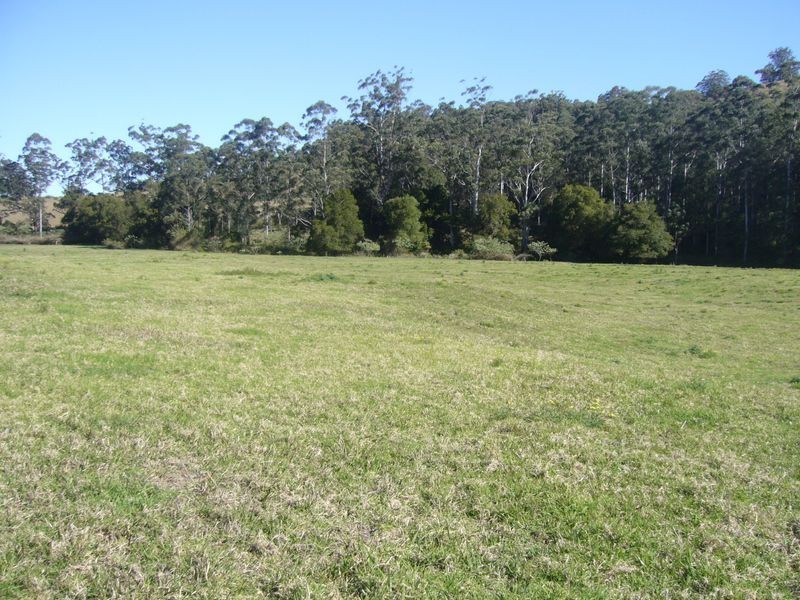 Killabakh NSW 2429