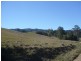 Killabakh NSW 2429