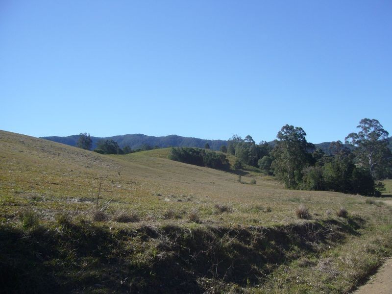 Killabakh NSW 2429