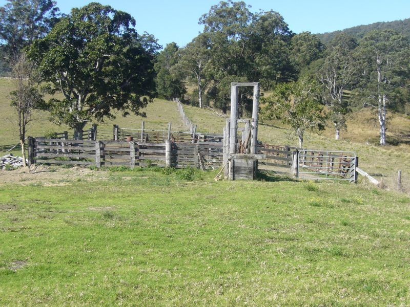 Killabakh NSW 2429
