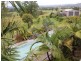Wingham NSW 2429