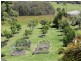 Wingham NSW 2429