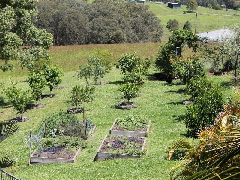 Wingham NSW 2429