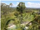 Wingham NSW 2429
