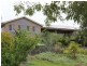 Wingham NSW 2429