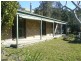 Cedar Party NSW 2429