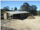 Cedar Party NSW 2429