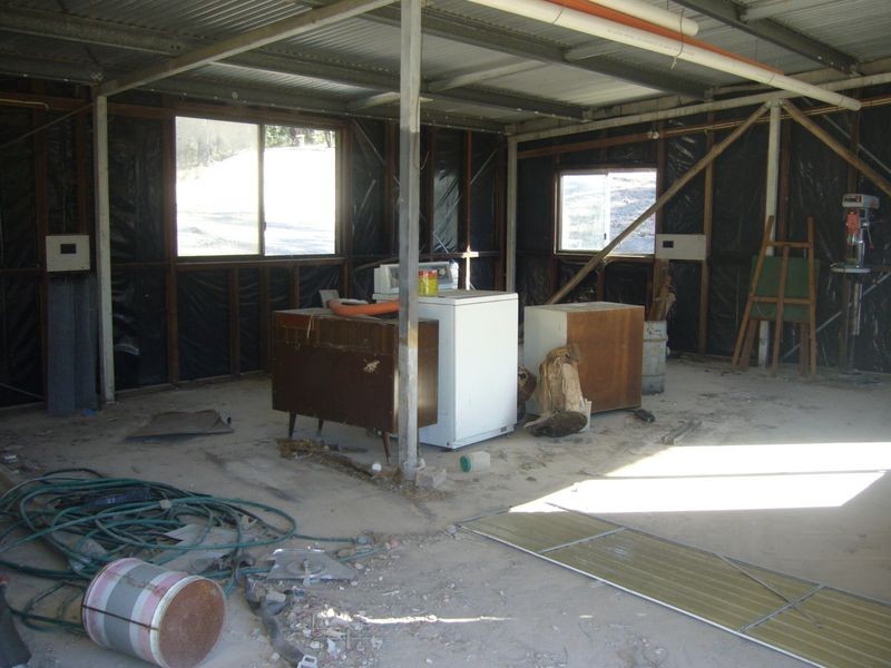Cedar Party NSW 2429