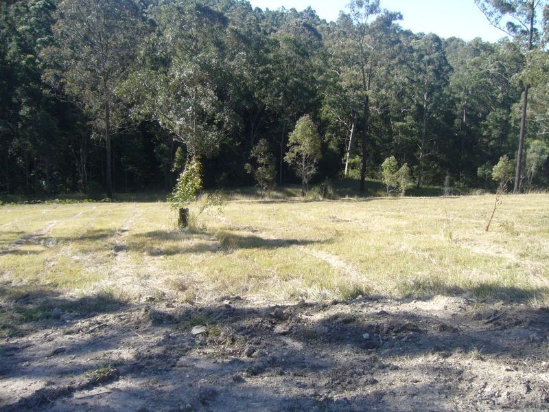 Cedar Party NSW 2429