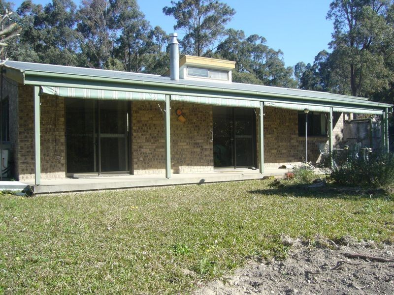 Cedar Party NSW 2429