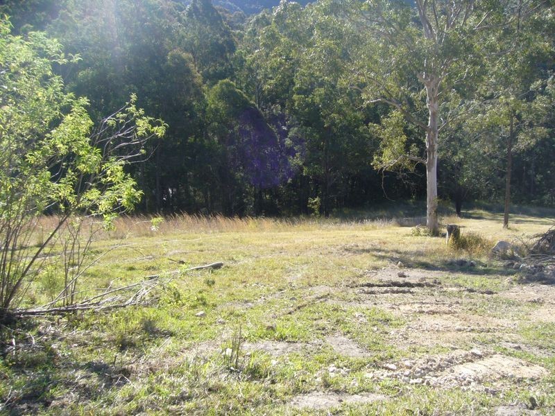 Cedar Party NSW 2429