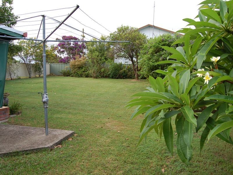 Wingham NSW 2429