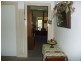 Wingham NSW 2429
