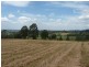 Killabakh NSW 2429