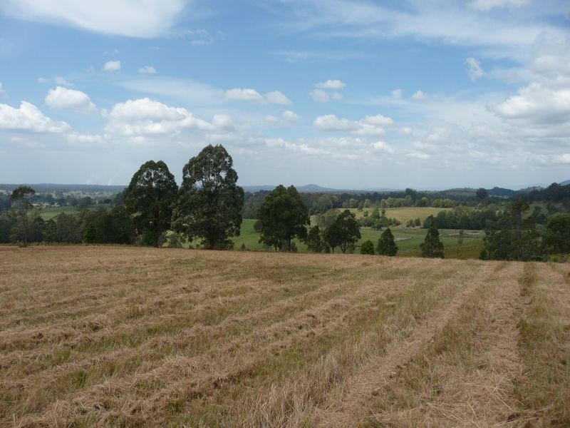 Killabakh NSW 2429