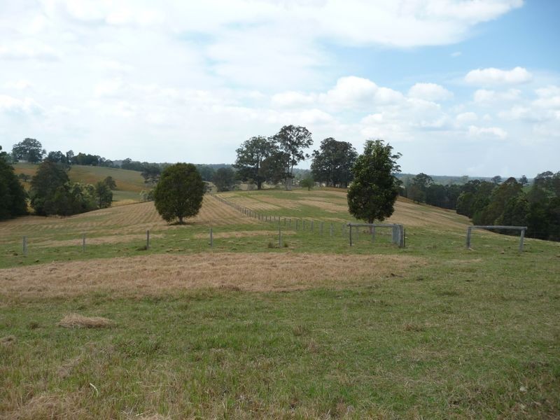 Killabakh NSW 2429