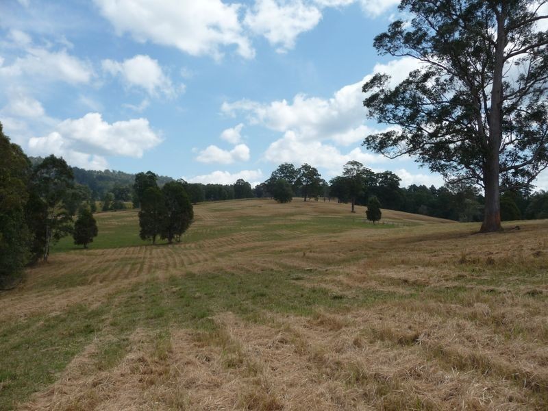 Killabakh NSW 2429