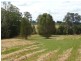 Killabakh NSW 2429