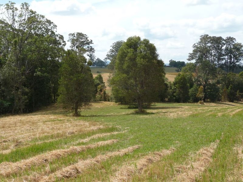 Killabakh NSW 2429