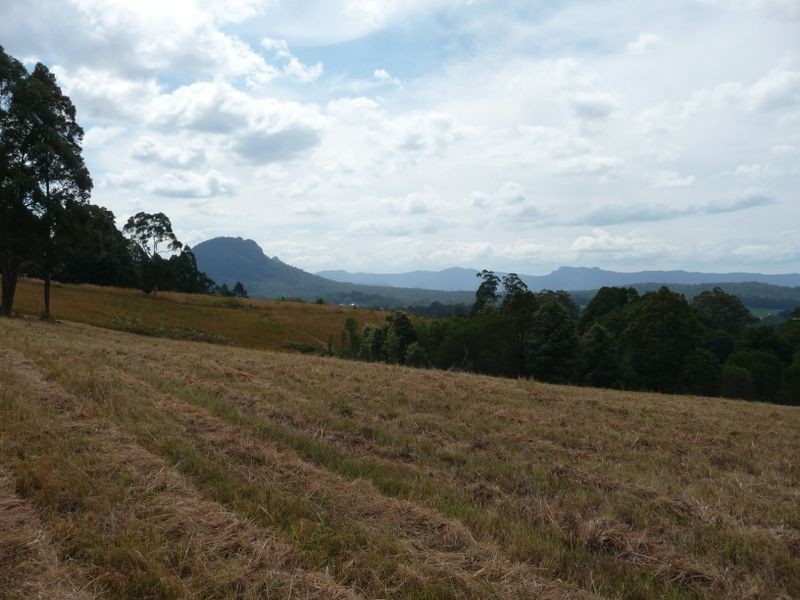 Killabakh NSW 2429
