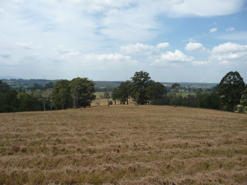 Killabakh NSW 2429
