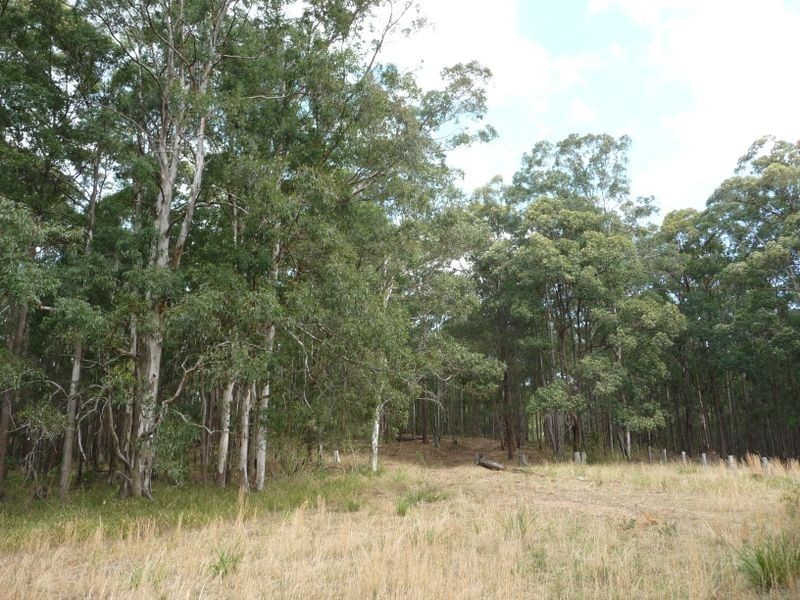 Killabakh NSW 2429