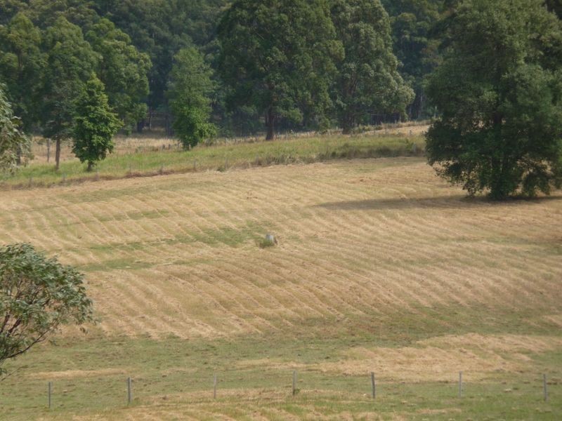 Killabakh NSW 2429