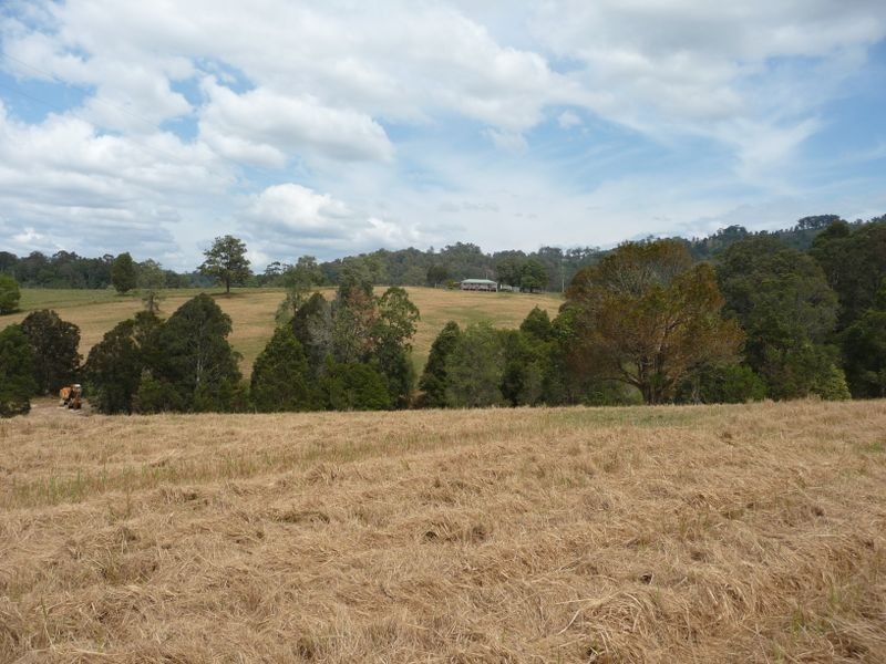 Killabakh NSW 2429