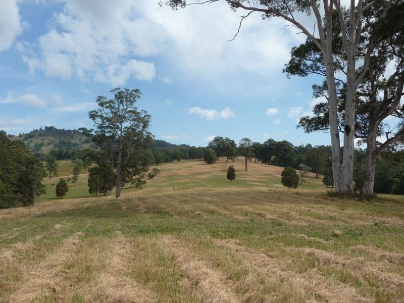 Killabakh NSW 2429